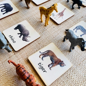 Montessori et Waldorf apprennent des cartes-jouets assorties durables d'animaux sauvages, parfaites pour l'enseignement à domicile.