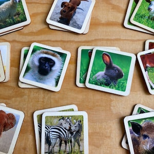 Jeu de mémoire en bois, jeu d'association et de mémoire inspiré de Montessori et Waldorf, jouets éducatifs, jouet Montessori, école à la maison