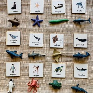 Montessori et Waldorf apprennent des cartes-jouets assorties aux animaux de la vie marine, parfaites pour l'enseignement à domicile.