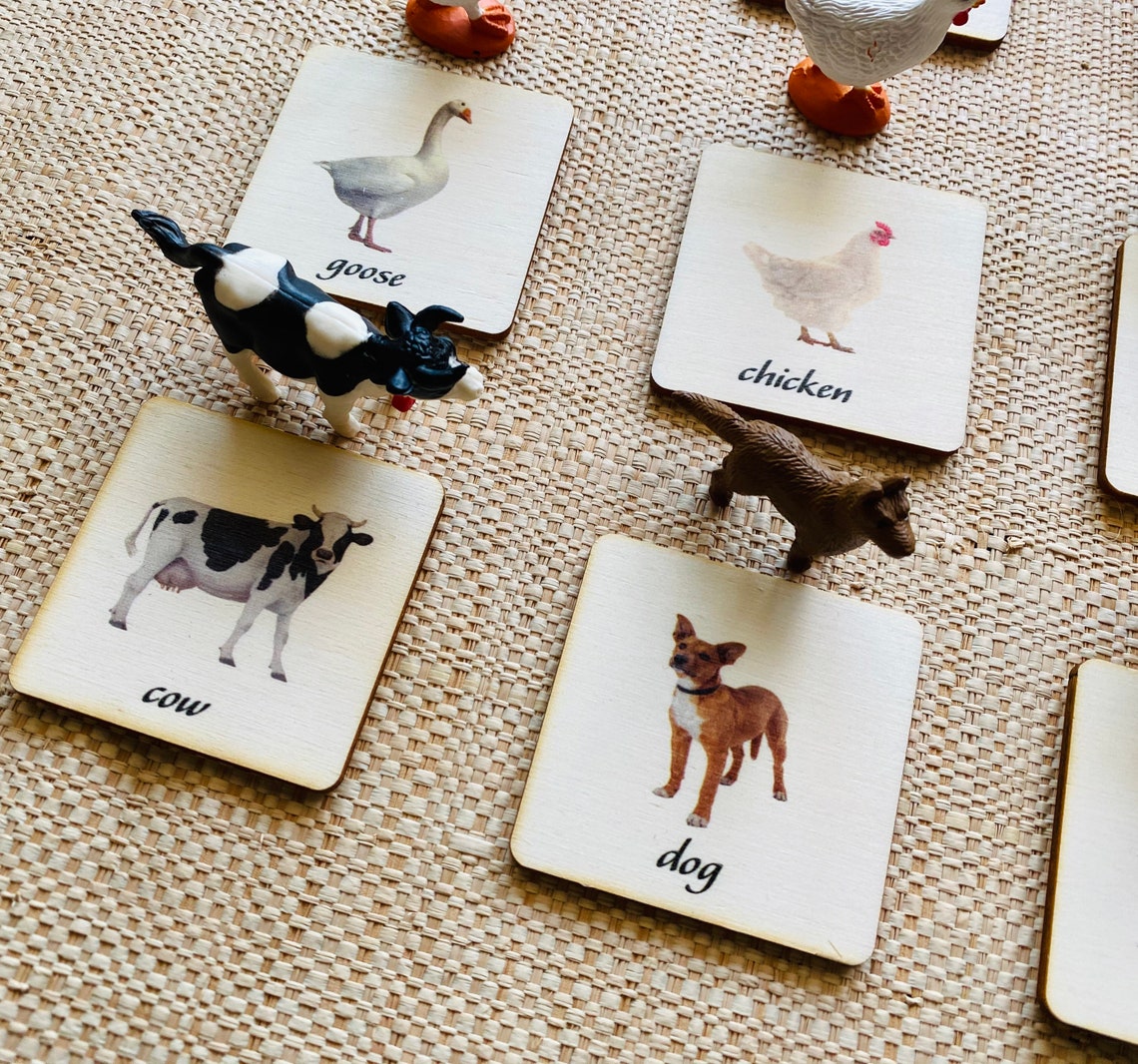 Montessori Farm Animal Matching Cards, Homeschool Learning Toys - Etsy