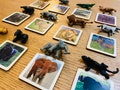 Montessori Wild Animal Matching Game, Safari TOOB, Wooden Toy product logo
