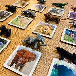 Montessori Wild animals with figurines  Safari toob Ltd , Matching game, Homeschool, Montessori Educational Toys, Wooden Toy for Kids