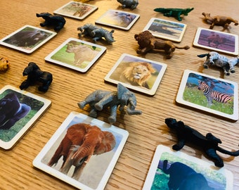 Montessori Wilde dieren met beeldjes Safari toob Ltd, Matching game, Homeschool, Montessori Educatief Speelgoed, Houten Speelgoed voor Kinderen