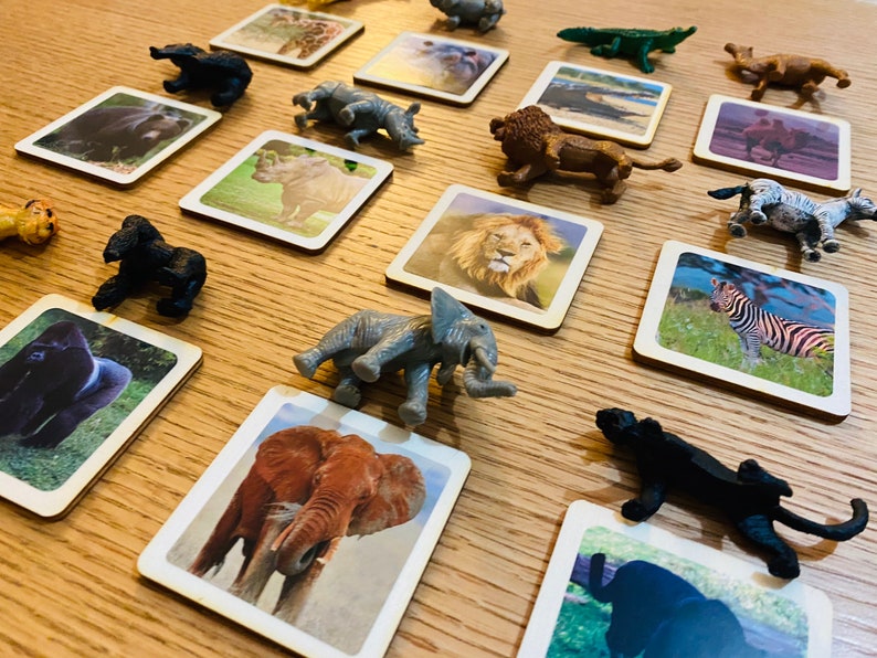 Montessori Wild Animals With Figurines Safari Toob Ltd Etsy
