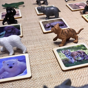Montessori und Waldorf lernen Baby Zootiere nachhaltiges Match Spielzeug mit Holzkarten perfekt für Homeschooling.