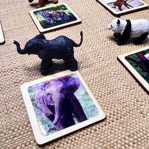 Brinquedos Montessori, cartões com animals de plástico não tóxicos