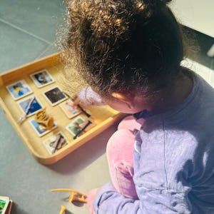 Montessori en vrije tijd leren muziekinstrumenten van het duurzame matchspeelgoed van het merk Safari Ltd met houten kaarten, perfect voor thuisonderwijs
