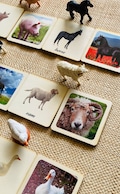 3 - Parts Montessori and Waldorf learning Farm animals sustainable matching games perfect for homeschooling. product logo