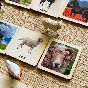 3 - Parts Montessori and Waldorf learning Farm animals sustainable matching games perfect for homeschooling.