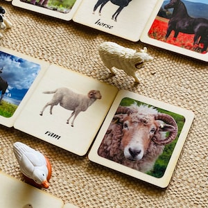 3-delig Montessori- en vrijetijdsonderwijs Duurzame matching-games voor boerderijdieren, perfect voor thuisonderwijs.
