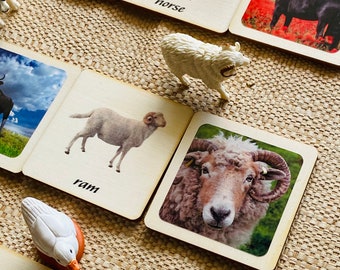 3 - Parts Montessori and Waldorf learning Farm animals sustainable matching games perfect for homeschooling.