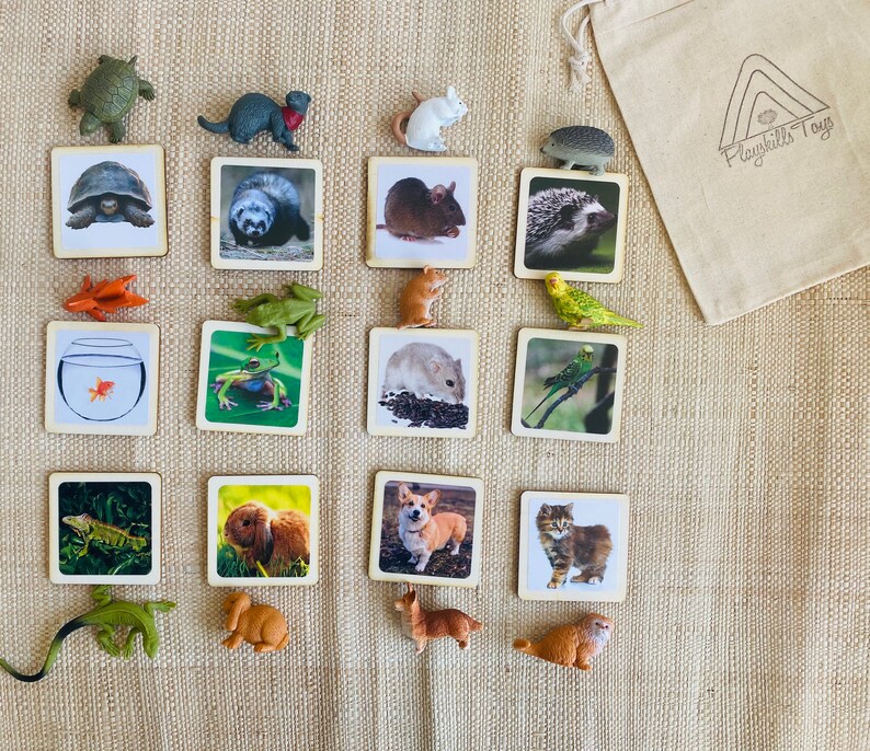 May include: A set of 16 wooden cards with images of various animals, including a turtle, a frog, a mouse, a hedgehog, a fish, a bird, a cat, a dog, and a rabbit. The cards are arranged in a grid pattern on a brown woven surface. The text "Playskills Toys" is printed on a small white bag in the upper right corner of the image.