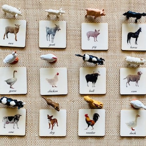 Montessori et Waldorf apprennent les animaux de la ferme, des cartes de jouets assorties durables parfaites pour l'enseignement à domicile.