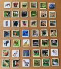 Wooden Animal Flash Cards – Montessori Learning Toy, Set of 30 product logo