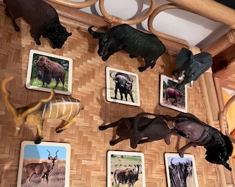 Houten Montessori-kaarten met wilde dieren, combinatiespel