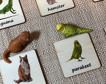 Montessori and Waldorf learning pet Safari Ltd animals sustainable match toys with wooden cards perfect for homeschooling.