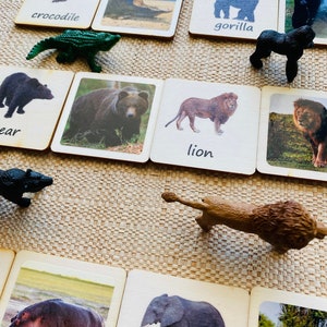 3 - Partes Montessori | Aprendizagem Waldorf Jogos de combinar animais do Safari.