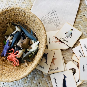 Montessori and Waldorf learning Sea life Animals sustainable match toys cards perfect for homeschooling.