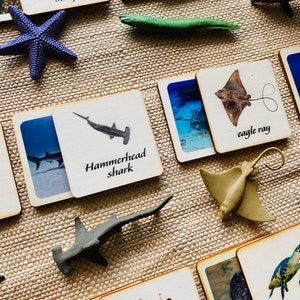 3-delig Montessori- en vrijetijdsonderwijs Duurzame combinatiespellen met zeedieren, perfect voor thuisonderwijs.