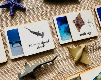 3 - Parts Montessori and Waldorf learning Sea life animals sustainable matching games perfect for homeschooling.