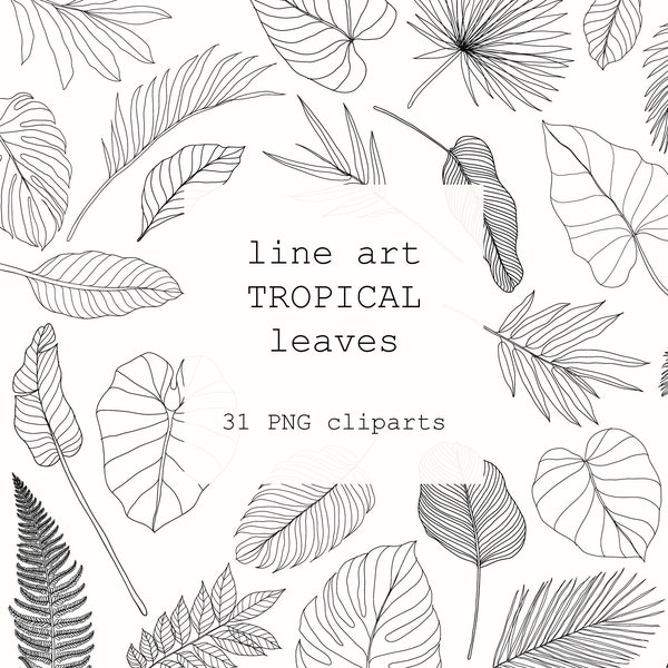 Tropical Line Art Leaves Clipart/Botanical Illustration/ Black White Floral Exotic Leaf Set/PNG EPS Digital Files/Monstera Banana Leaves