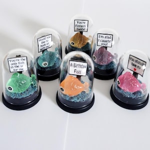 May include: Six glass dome ornaments containing colourful fish figurines. Each dome features a small sign with a humorous message, such as "You're the only fish in the sea for me" and "I'm glad I caught you!"