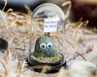Googly eyed pebble gift, Personalised message Rock gift, Fun gift, Desk companion, Message in a bottle pun gift