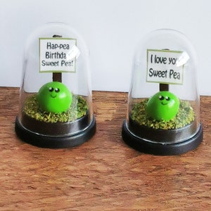 May include: Two glass domes with green pea figurines inside. The domes have signs with the text "Hap-pea Birthda Sweet Pea!" and "I love you Sweet Pea".