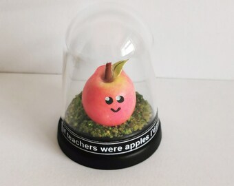 Miniature Apple Gift  Teacher gift  Personalised message in a bottle apple Gift Girlfiend gift Boyfriend gift Apple pun gift