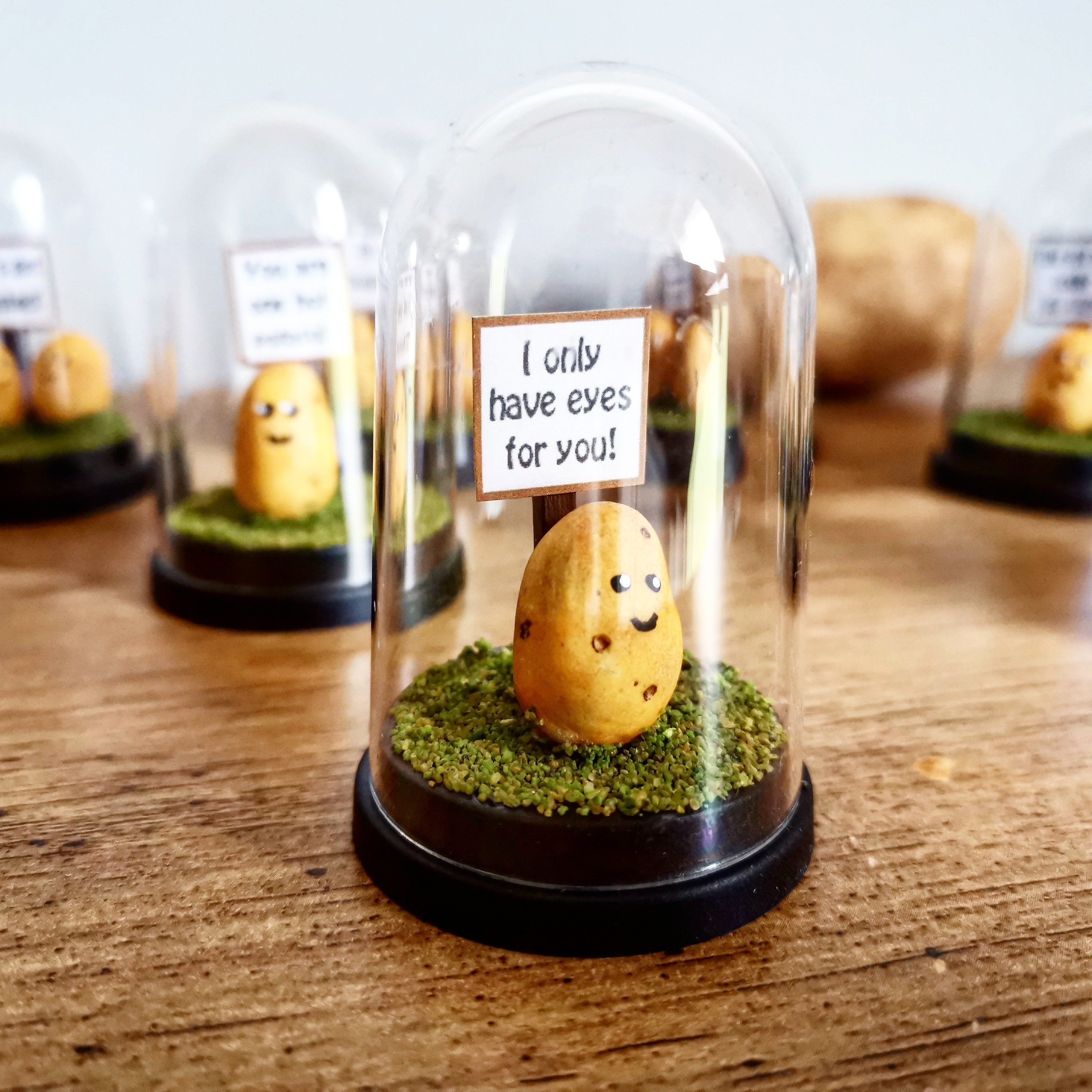 Potato gift Birthday gift girlfriend gift boyfriend gift Etsy