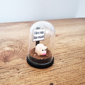 Miniature Pig in a display case Personalised message  pig gift Girlfriend gift Boyfriend gift Friend gift Pun gift