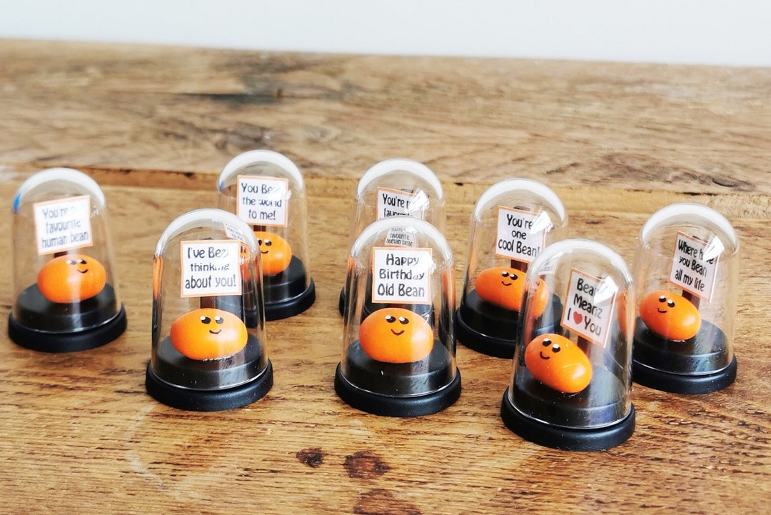 Miniature Bean in a Display Case, Personalised Baked Bean Gift, Pet