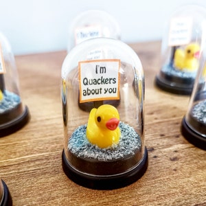 Personalised miniature duck in a display case  Friend gift Birthday gift  Girlfriend / Boyfriend Gift  Funny  Valentine gift pet duck