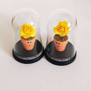 May include: Two small glass domes with yellow paper flowers in terracotta pots with happy faces. The bases of the domes are black with white text. One reads "If teachers were flowers I'd pick you" and the other reads "You're Blooming Lovely!"