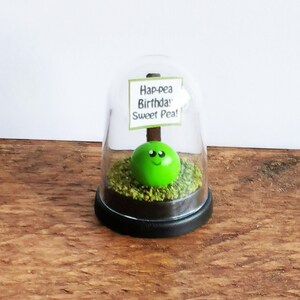 May include: A green pea with a smiling face is inside a glass dome with a sign that reads "Hap-pea Birthday Sweet Pea!"