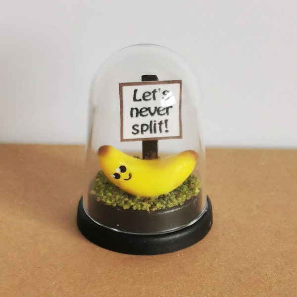 Miniature Smiling Banana in Display Dome, Personalised message gift