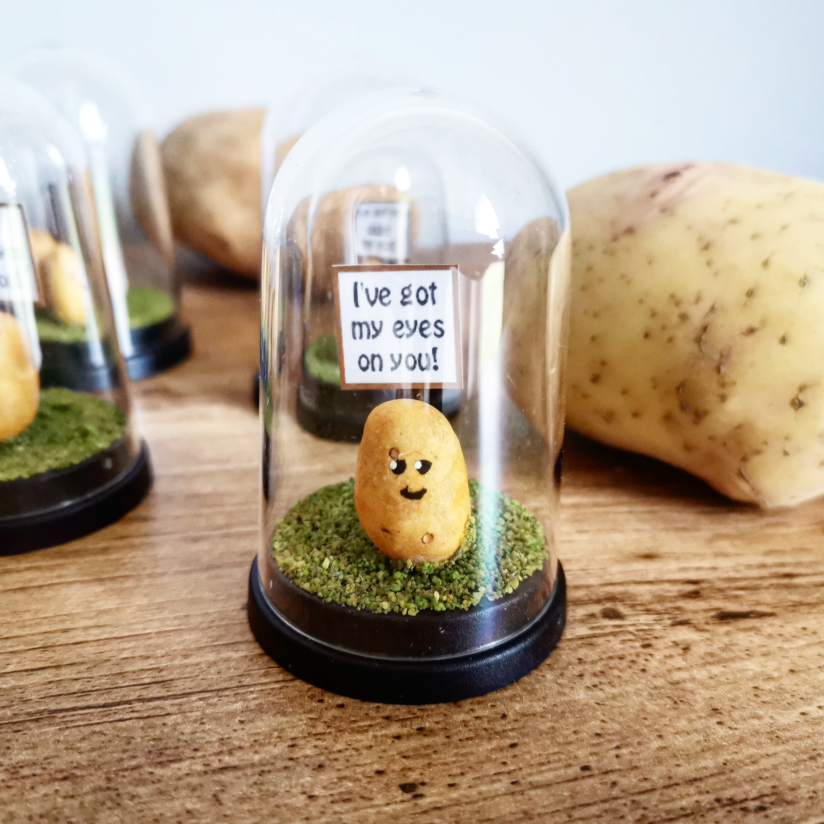 Potato gift Birthday gift girlfriend gift boyfriend gift Etsy