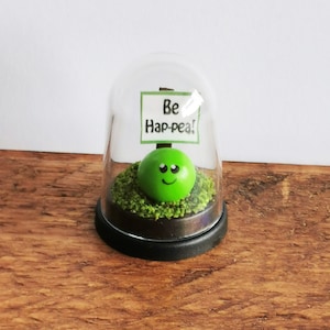 Miniature pea gift in display dome with personalised message Pea Pun gift Motivational gift