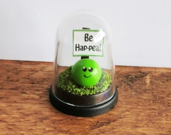 Personalised miniature Pea Vegan Gift Friend Gift Birthday gift Girlfriend gift Boyfriend Gift  Funny gift personal message