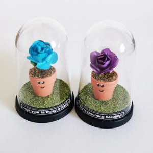 May include: Two small potted plants with flowers inside glass domes. The blue flower has a message that says "Hope your birthday is Rosy!" and the purple flower has a message that says "You're blooming beautiful!"