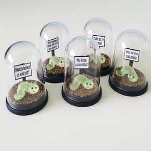 May include: Five clear glass domes with black bases, each containing a small green caterpillar figurine on brown soil. Each dome features a sign with text: Always be-leaf in yourself, You wormed your way into my heart, My little cutie-pillar, Talk dirty to me, and You're my soil-mate.