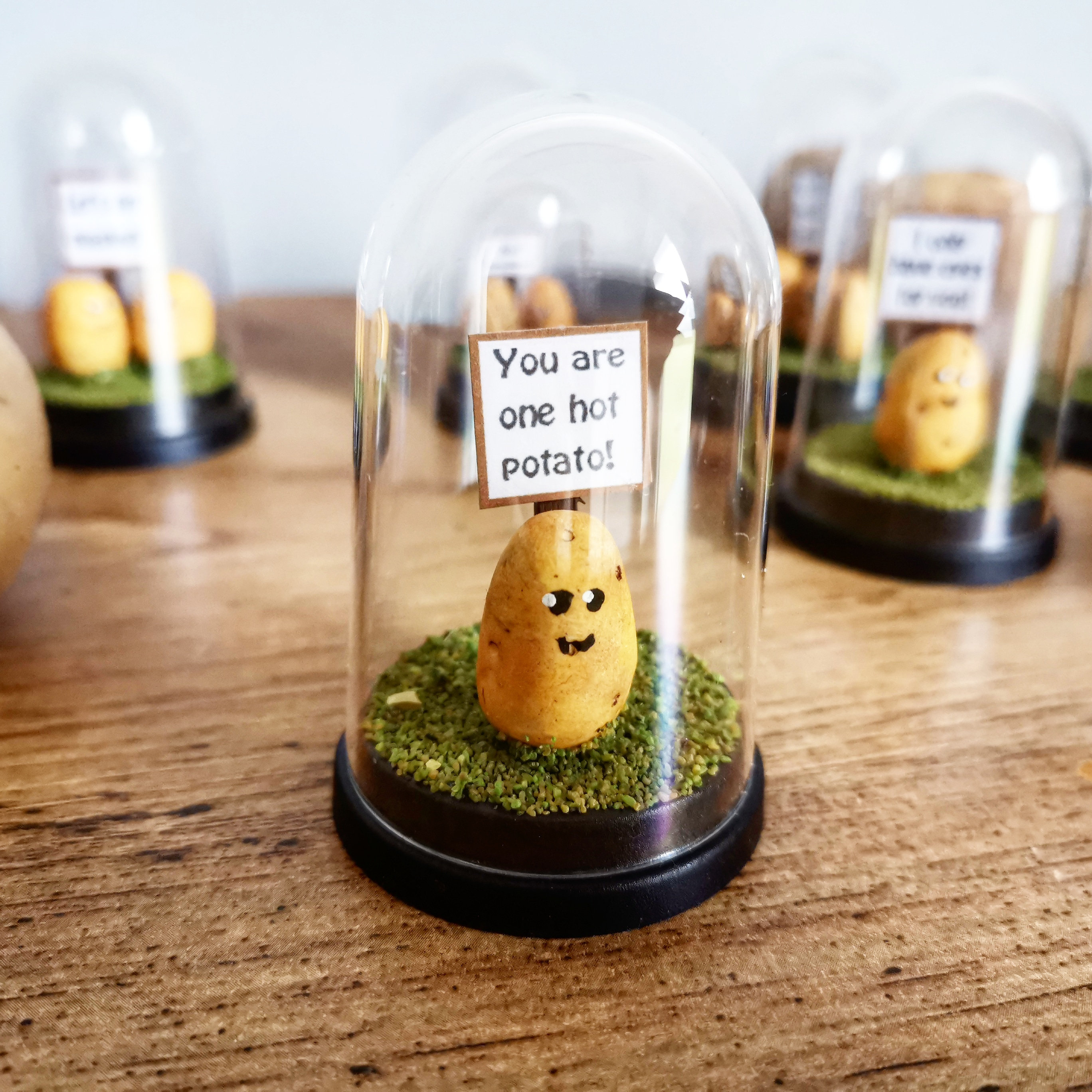 Potato gift Birthday gift girlfriend gift boyfriend gift Etsy