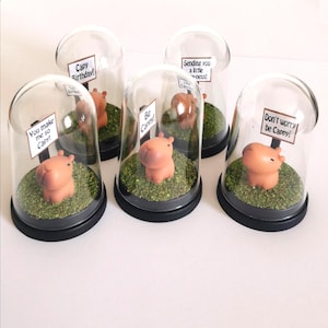 May include: Six miniature capybara figurines inside glass domes. Each figurine sits on a bed of green faux grass. Small signs with phrases like "You make me so Capy!" and "Don't worry be Cappy!" are included.