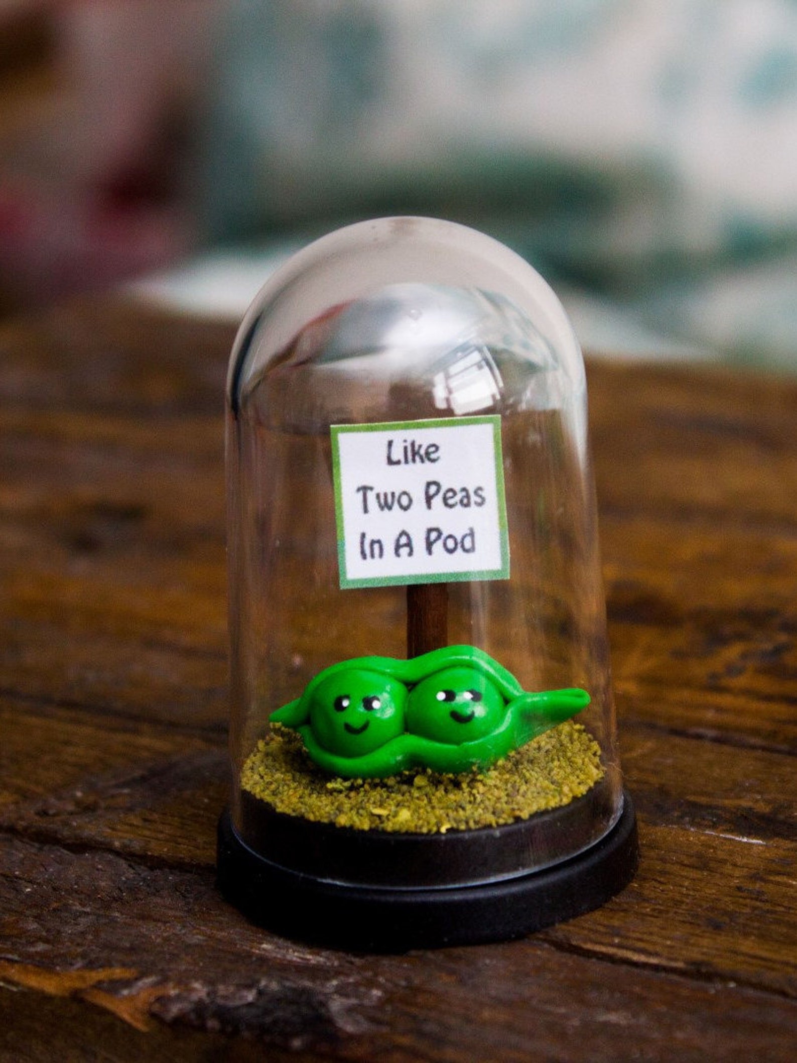 Two Peas in a Pod Vegan Gift Best Friend Gift Boyfriend Gift Etsy