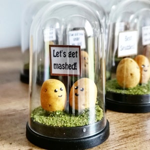 May include: A pair of potato figures with smiling faces are displayed under a glass dome, with a sign saying "Let's get mashed!". They sit on green granules, creating a miniature scene. The base is black. Other similar domes are in the background.