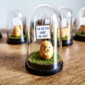 Miniature Potato Gift in a Display Dome  Personalised Message spud pun gift
