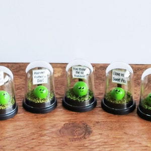 May include: Five clear glass domes with black bases, each containing a green pea with a face and holding a small sign. The signs read: "Happy Birthday Sweet Pea", "Hap-per Father's Day!", "You make me so Rap-peal", "I love you Sweet Pea", and "Be Hap-peal!"