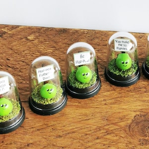 May include: Five glass domes with green pea figurines inside. Each dome has a small sign with a different message, including "Happea Birthday Sweet P", "Hap-pea Father Dav", "Be Hap-P", "You make me so Hap-pea", and "I love you Sweet Pea".