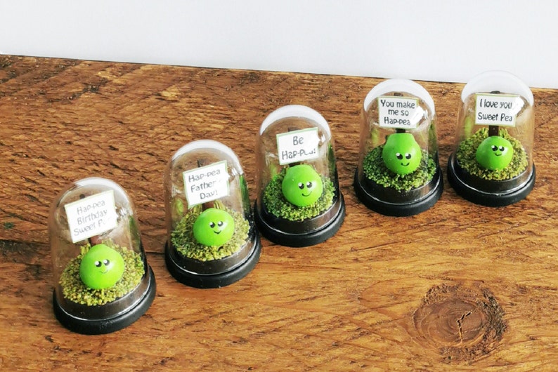 May include: Five glass domes with green pea figurines inside. Each dome has a small sign with a different message, including "Happea Birthday Sweet P", "Hap-pea Father Dav", "Be Hap-P", "You make me so Hap-pea", and "I love you Sweet Pea".