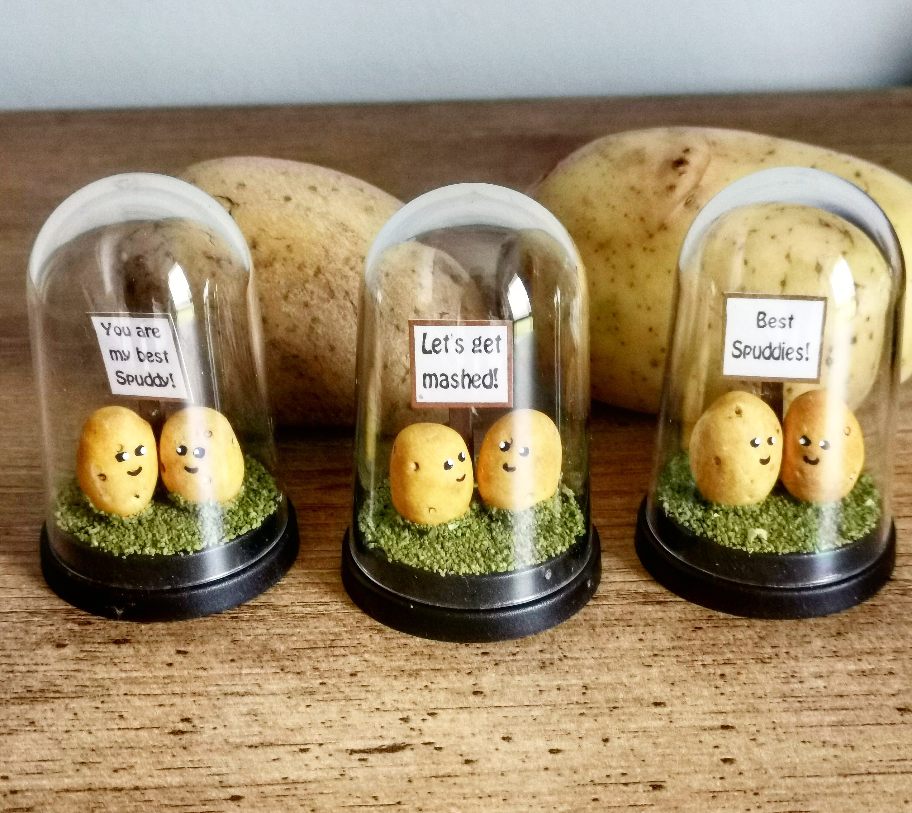Couple Potato Gift Funny Gift Birthday Gift Girlfriend Etsy